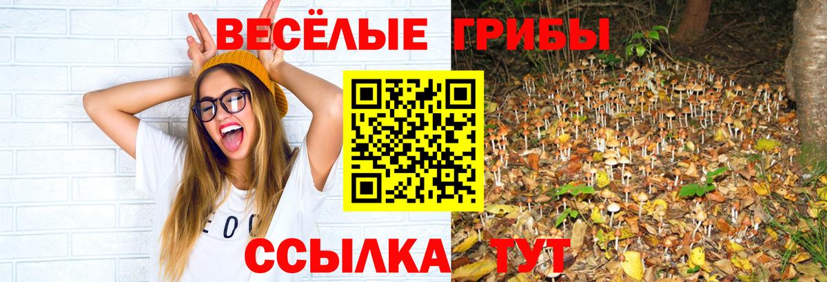 Добрянка  Галлюциногенные грибы Cubensis  Вход с VPN 
